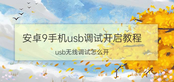 安卓9手机usb调试开启教程 usb无线调试怎么开？